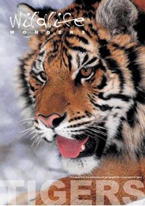 Picture of Wildlife Wonders Animal Series - Tiger