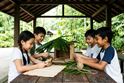 Picture of A . Wild Architects - 9 to 11 September 2026 (Wednesday-Friday)